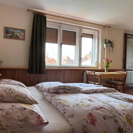 Guest house Petra *