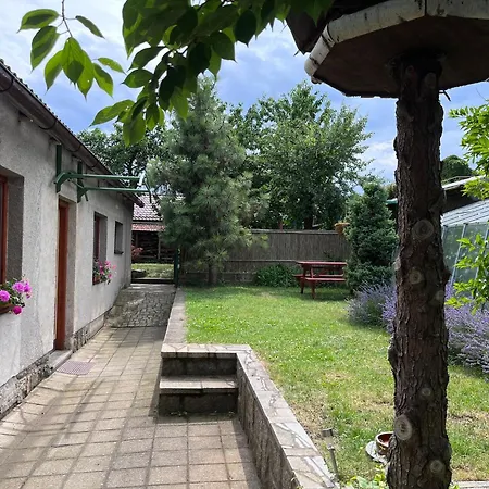 Petra Telč