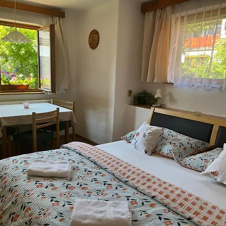 Petra Guest house